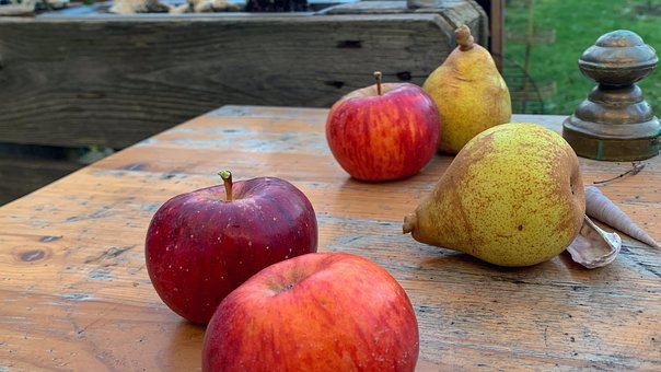Free Fall Harvest photo and picture