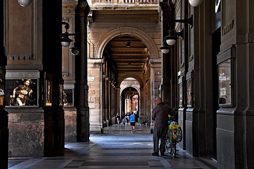 Free City Travel photo and picture