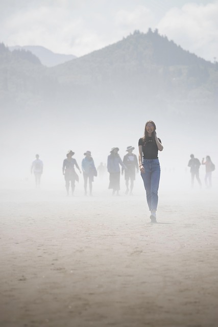 Niebla, Naturaleza, Aventuras, Viaje