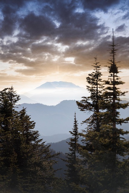 Free Mountains Trees photo and picture