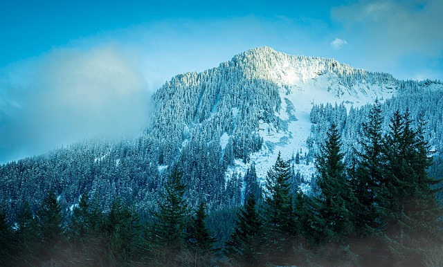 Free Mountains Winter photo and picture