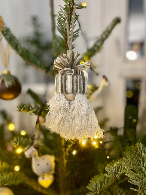 Free Ornament Christmas photo and picture
