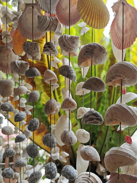 Free Shell Decoration photo and picture