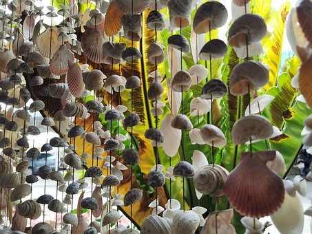 Free Chonburi Shell photo and picture