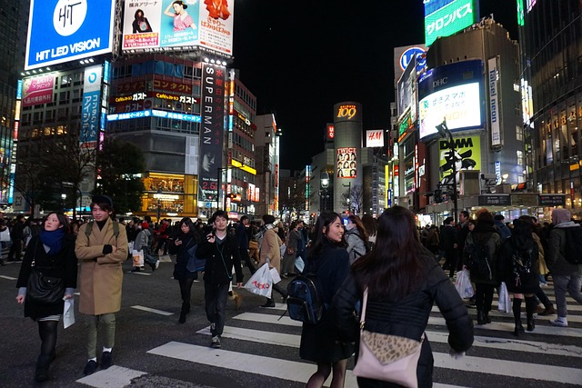 Free Night City photo and picture