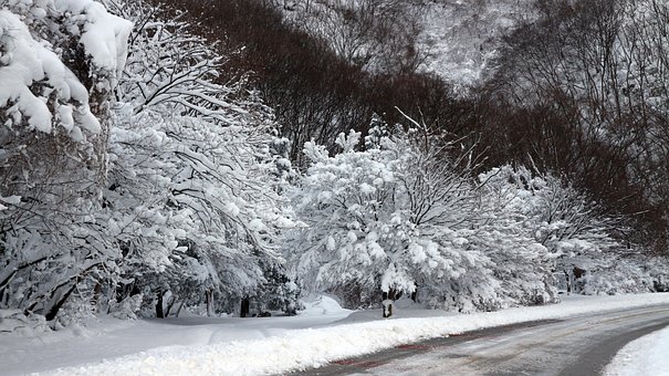 Invierno, Naturaleza, Nieve