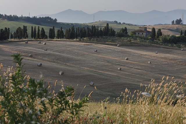 Free Countryside Field photo and picture