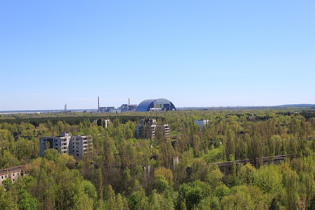 Tjernobyl, Sarkofag, Pripyat, Bue