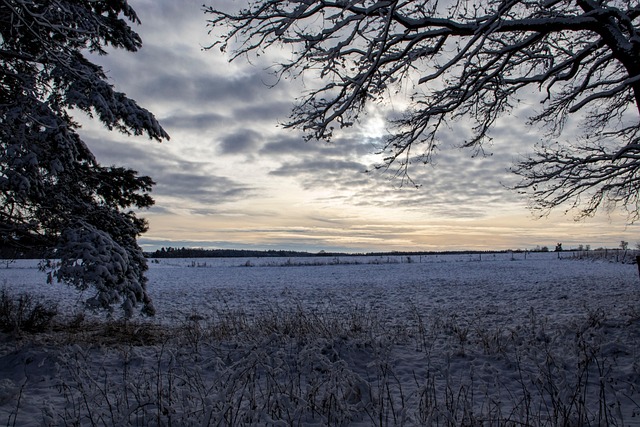 Free Nature Winter photo and picture