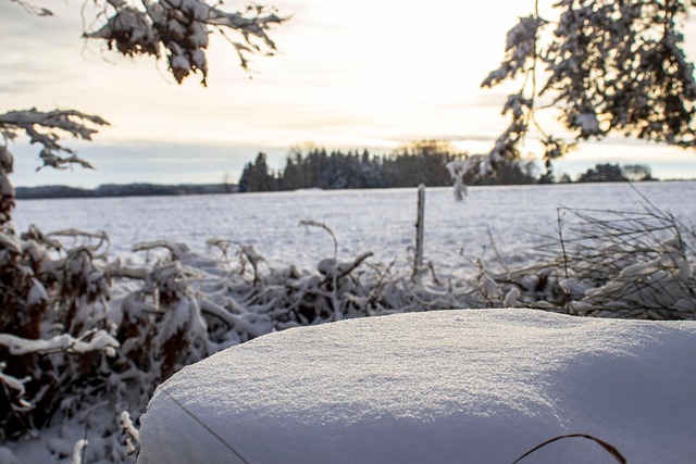 Free Winter Snow photo and picture
