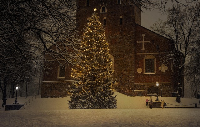 Free Christmas Tree Holiday photo and picture Free Christmas Tree Holiday photo and picture