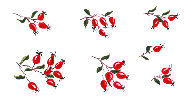 Free darts branch fruit vector