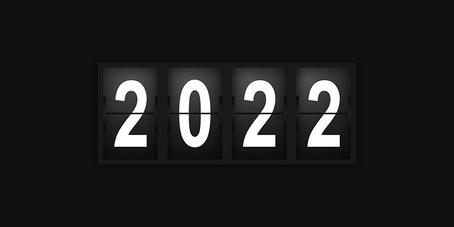 Free year 2022 split vector