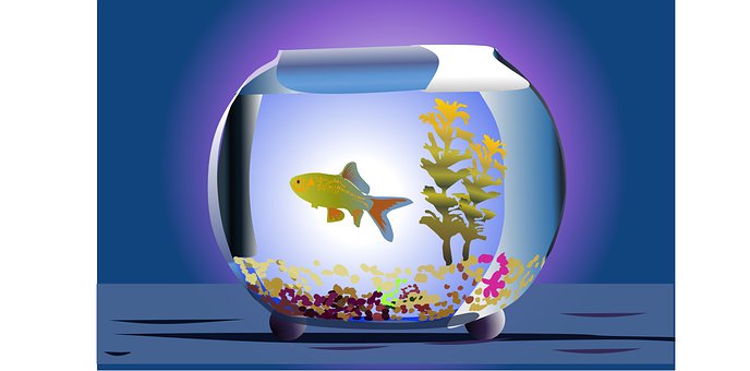 Free Aquarium Fish illustration and picture