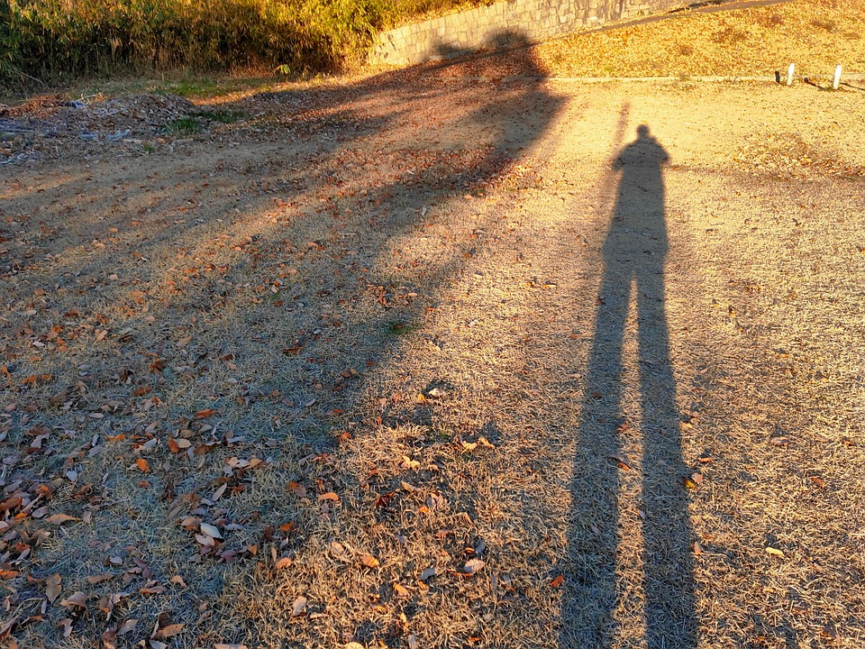 low shadow