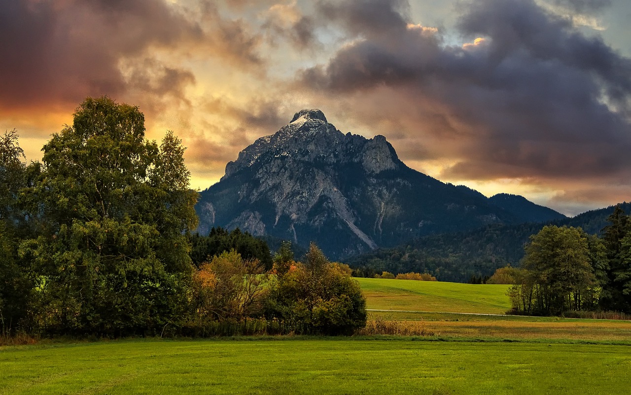 https://cdn.pixabay.com/photo/2021/12/27/10/51/nature-6896829_1280.jpg