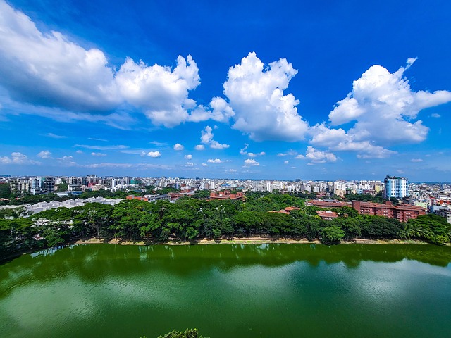 Free Women Dhaka photo and picture