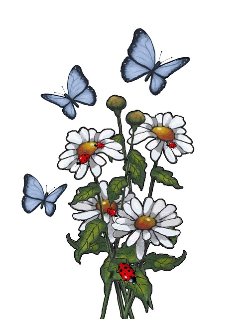 Tusenfryd, Blomster, Sommerfugler