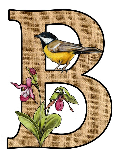 Første, Bokstav B, Alfabetet Brev