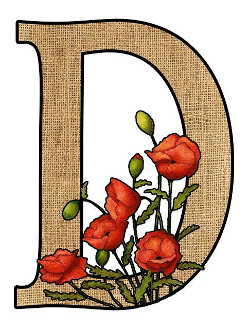 Første, Monogram, Bokstav D