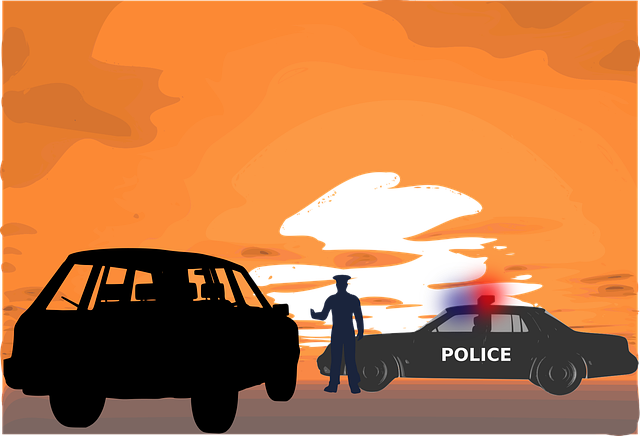 Free checkpoint police silhouette vector