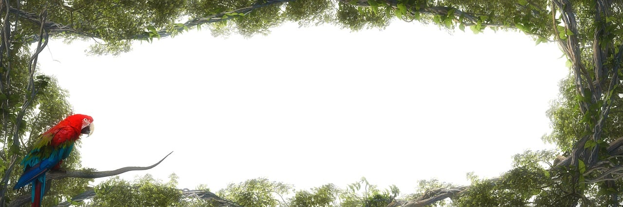 400,000+ Free Jungle Background &amp; Jungle Images - Pixabay