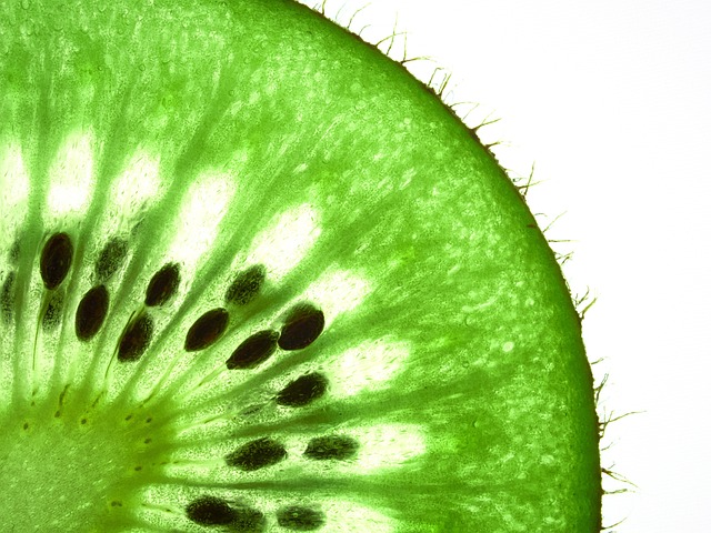 Free Kiwi Fruit photo and picture
