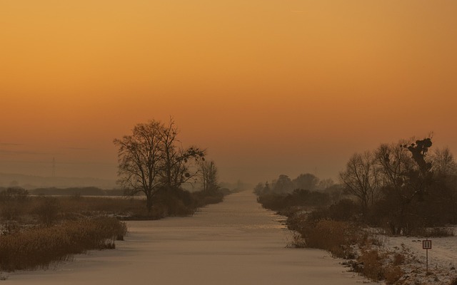 Naturaleza, Invierno, Árboles