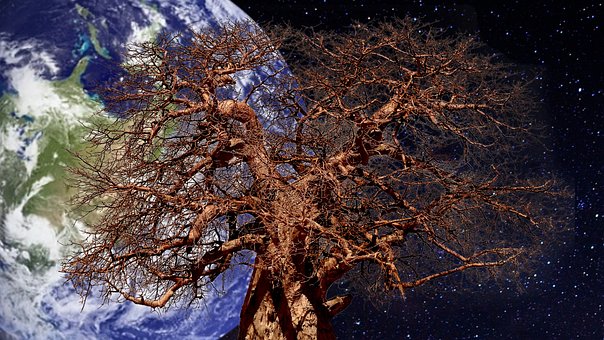 Free Earth Universe photo and picture