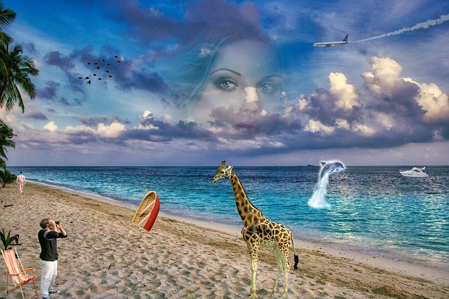 Free Beach Sand photo and picture