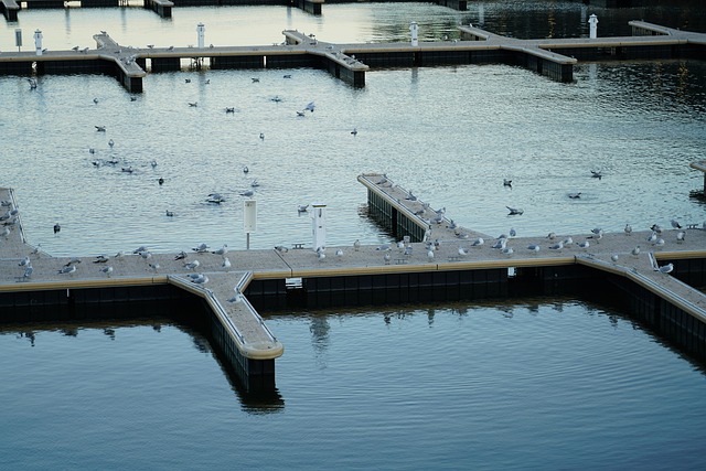 Free Montreal Canada photo and picture
