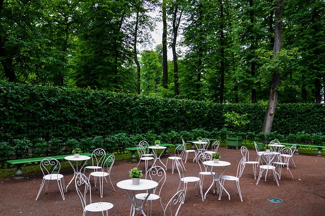 Free Table Chair photo and picture
