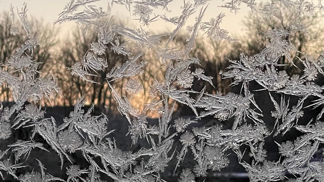 Free Frost Winter photo and picture