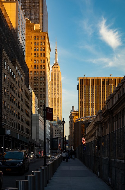 Free City New York photo and picture