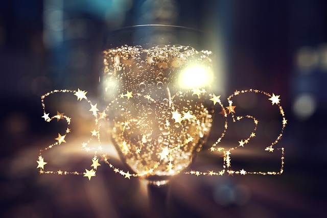 Free new year's day sylvester fireworks illustration