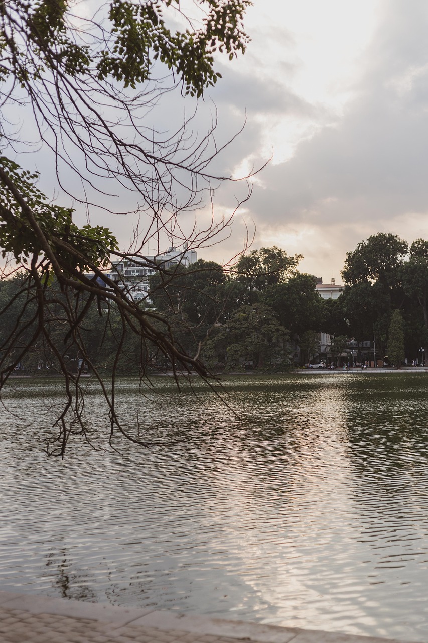 Cloud Tree Lake - Free photo on Pixabay - Pixabay