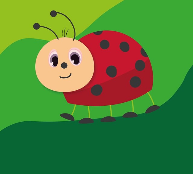 Download free HD stock image of Insect Ladybug Free insect ladybug entomology illustration