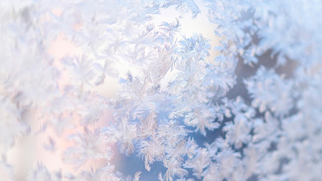 Free Winter Free Background photo and picture