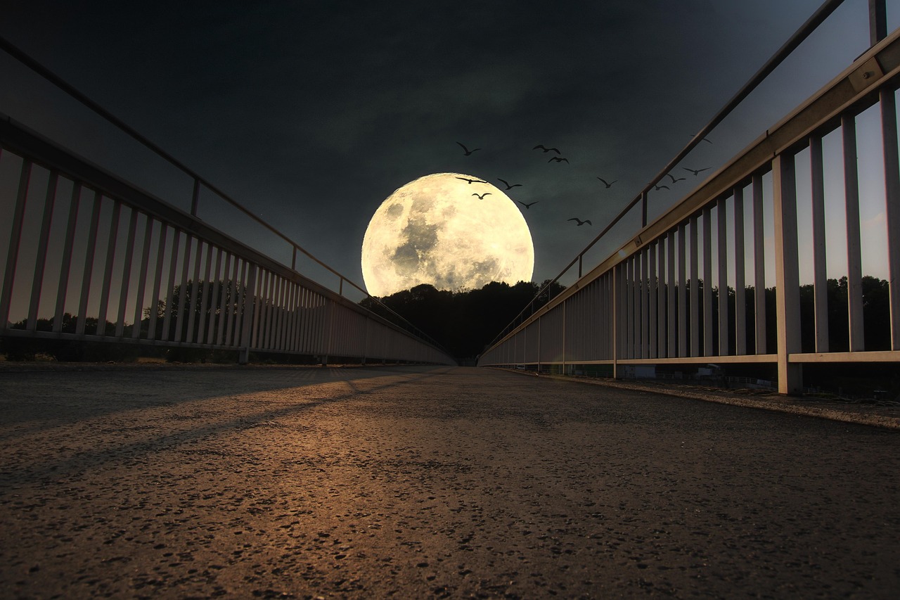 Moon - free online jigsaw puzzle photo