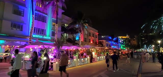 Free Miami Neon photo and picture