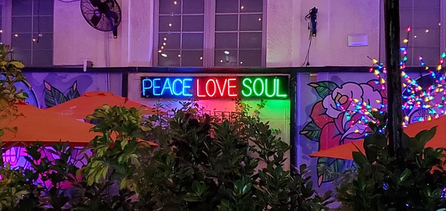 Free Peace Neon photo and picture