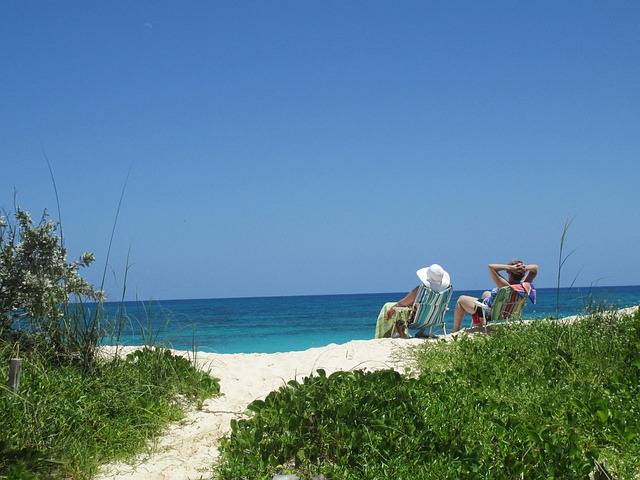 Free Tropical Relax photo and picture