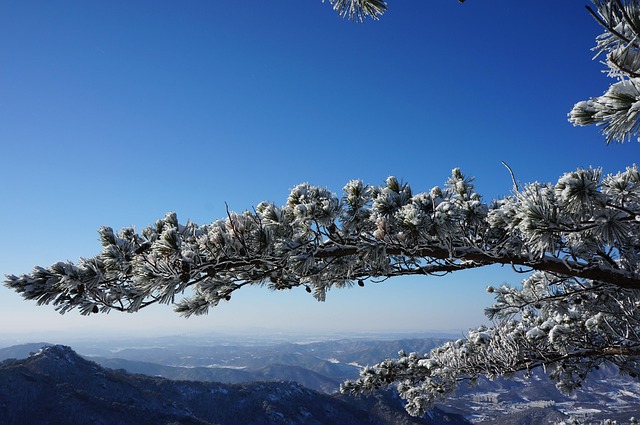 Free Winter Landscapes Nature photo and picture