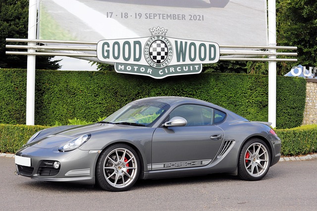Free Motor Racing Goodwood Festival Of Speed photo and picture