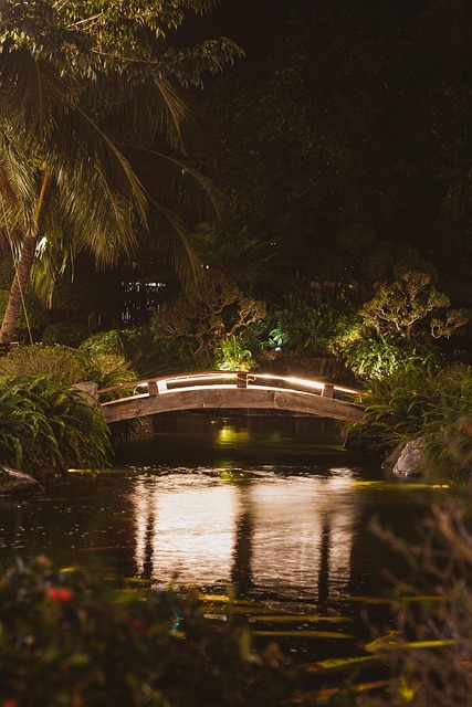 Brug, Park, Nacht, Avond, Land