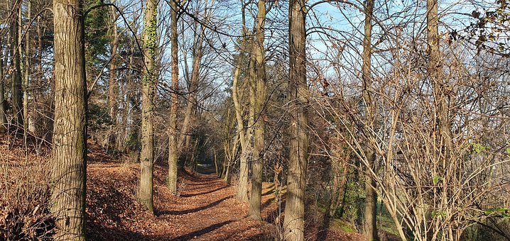 Free Winter Nature photo and picture