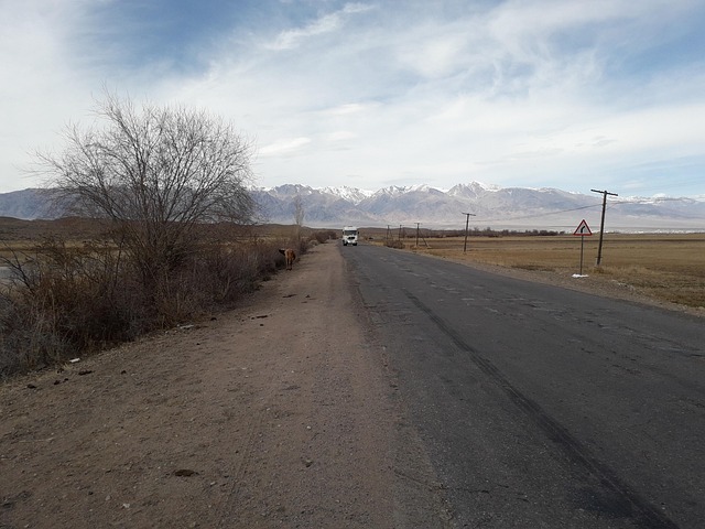 Free Path Road photo and picture