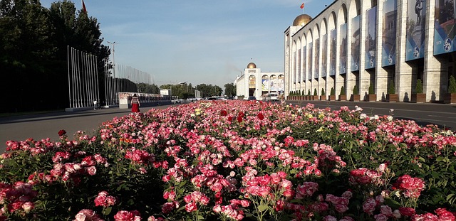Free Flower Pink photo and picture