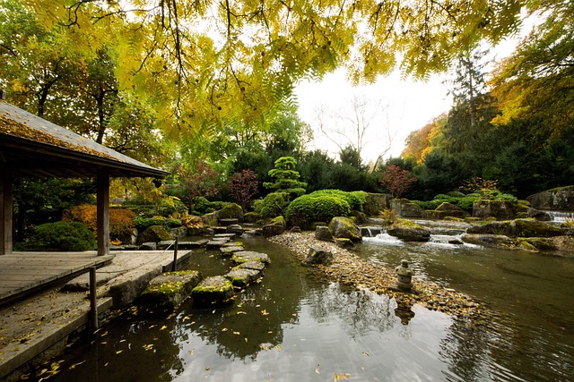 Free Garden Nature photo and picture