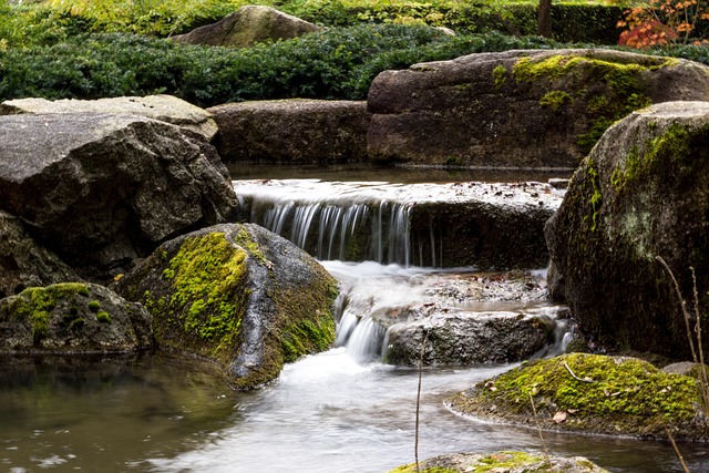 Free Garden Bach photo and picture